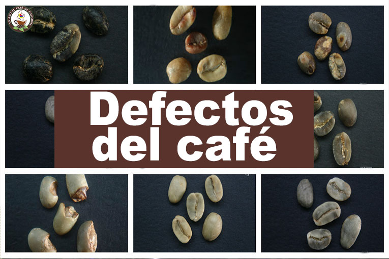 DEFECTOS DEL CAFE