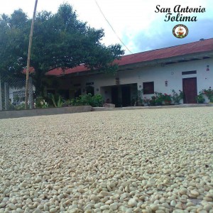 cafe de san antonio tolima