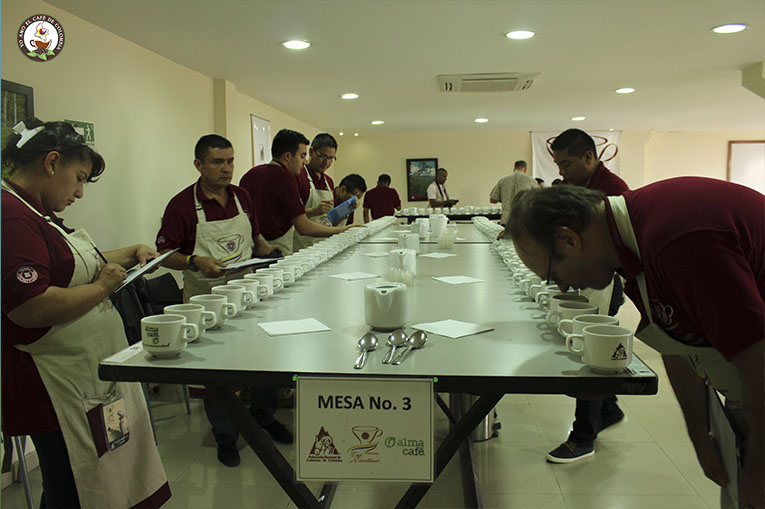 Catacion de café
