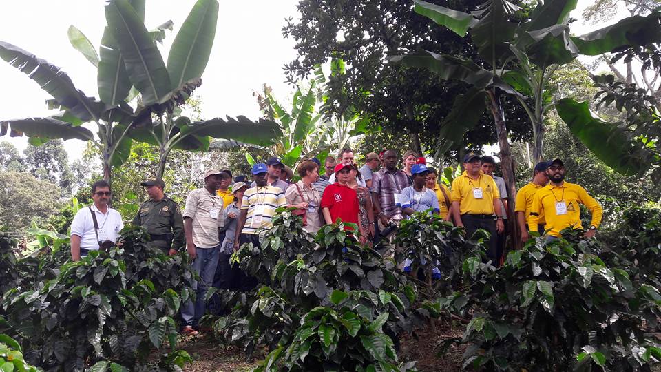 Delegación de Bélgica Visitó zonas cafeteras Santandereanas