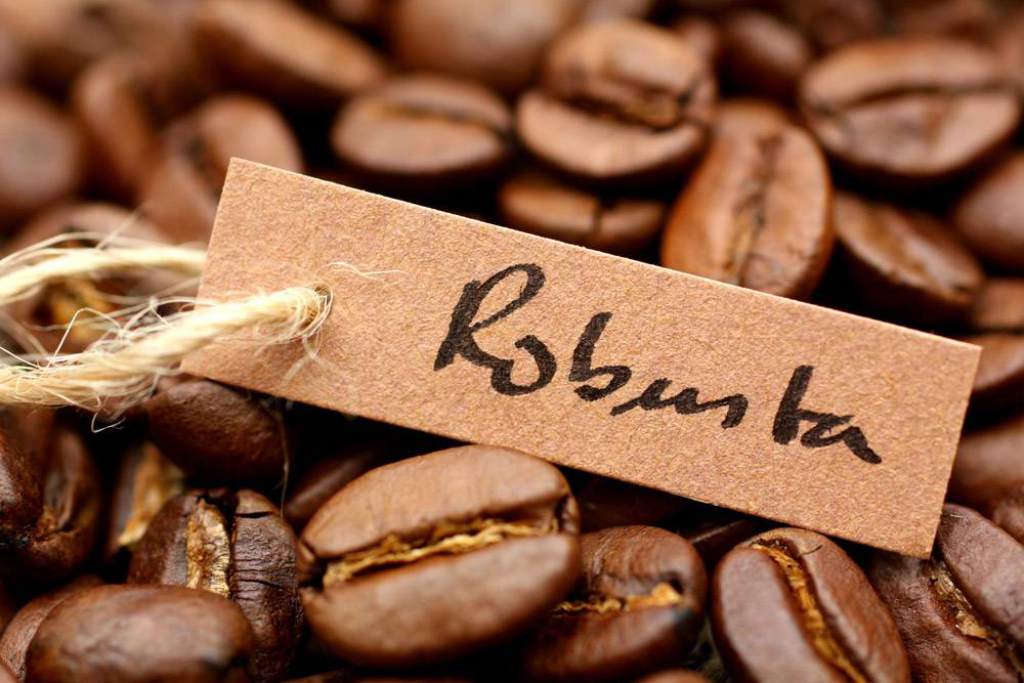 cafe Robusta