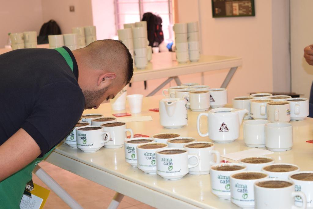 Taza café de Antioquia