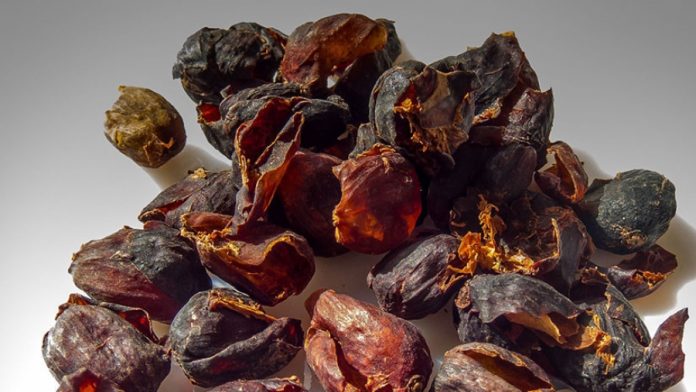 Cascara de café