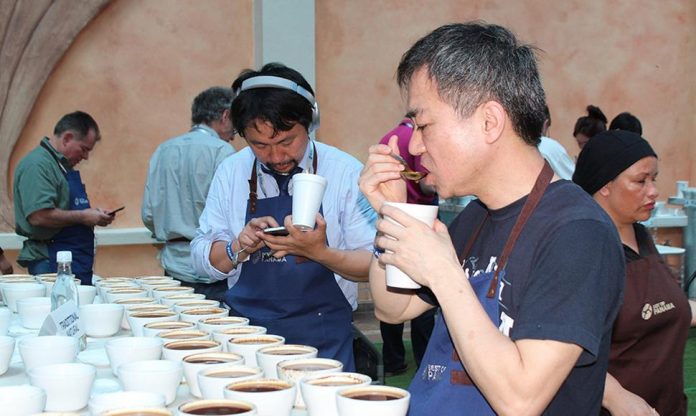 Café de Panamá impone nuevo récord de 94.66 puntos