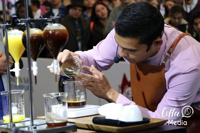 Diego Campos Amor Perfecto Café