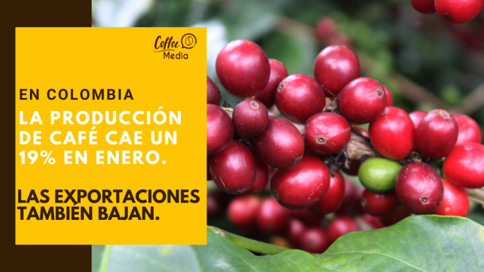 PRODUCCION Y EXPORTACIONES