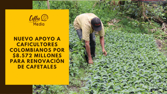 Caficultores Colombianos