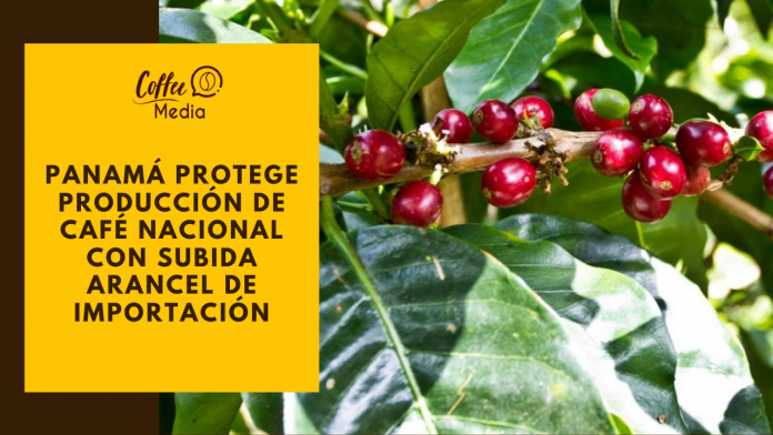 Cafe de panama