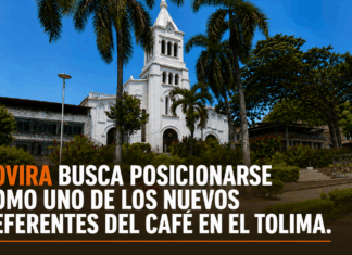 Rovira busca posicionarse como uno de los nuevos referentes del café en el Tolima