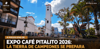 Todo está listo para Expo Café Pitalito 2026: Competencias, cafés especiales y cultura