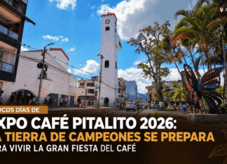 Todo está listo para Expo Café Pitalito 2026: Competencias, cafés especiales y cultura